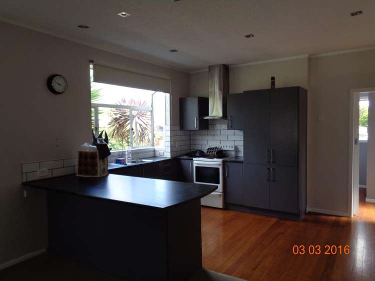 9 Lincoln Street Morrinsville_10