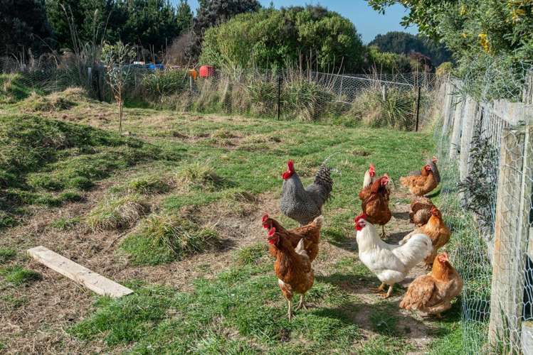 432 Bull Creek Road Milton_26