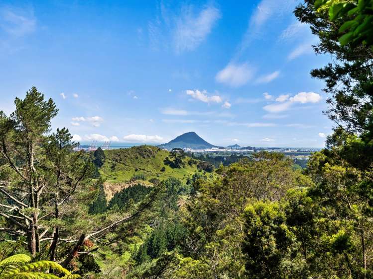 Address withheld Welcome Bay_13