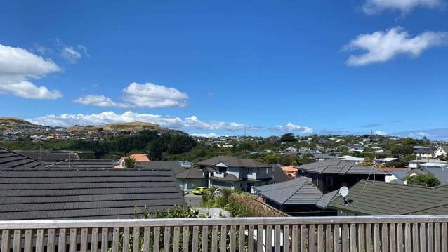 3b Hillview Crescent Paparangi_2