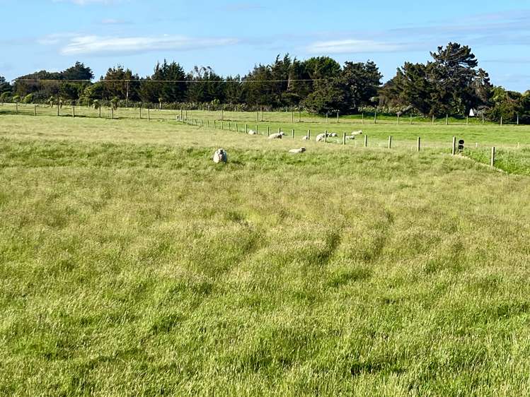 5 Ackers Road New River Ferry_14