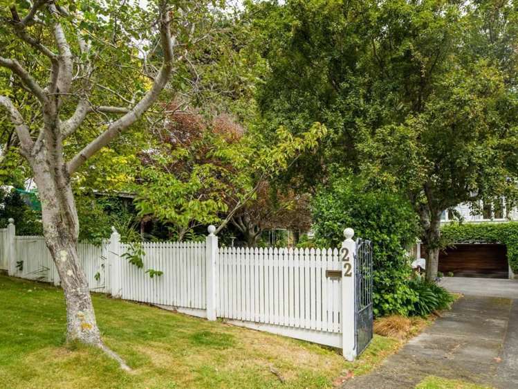 22 Nikau Street Eastbourne_18