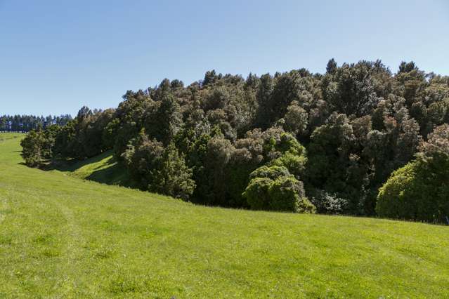 Poihipi Road Wairakei_4