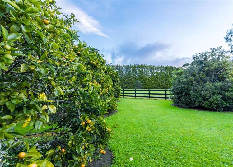 36 Oak Lane Coatesville_17