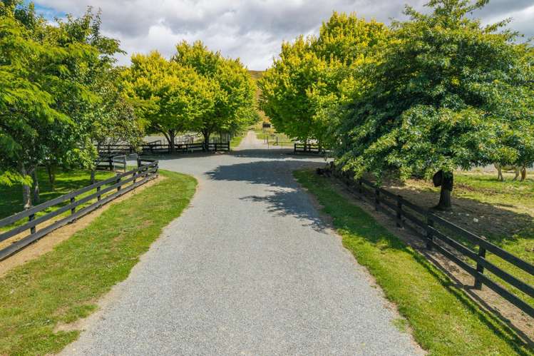 372 Wakefield-Kohatu Highway Wakefield_7