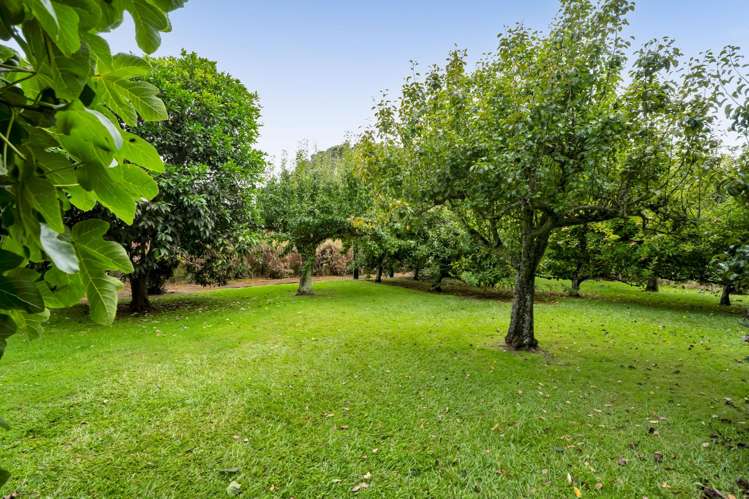 217 Brown Road Brixton_23