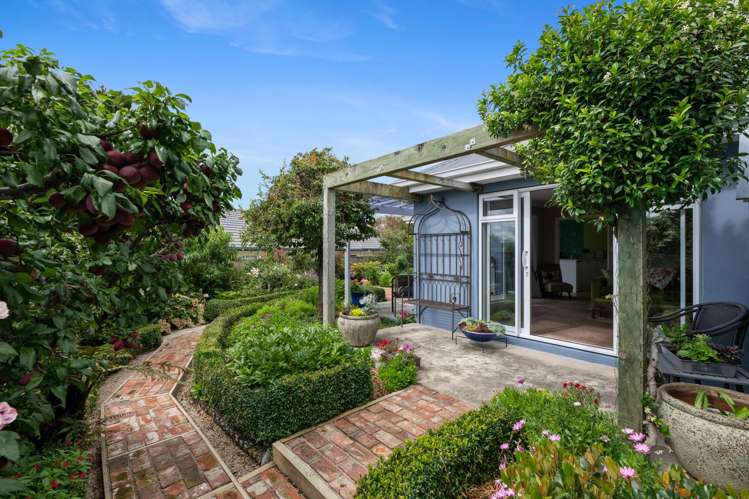 16A Ashwood Drive Witherlea_10