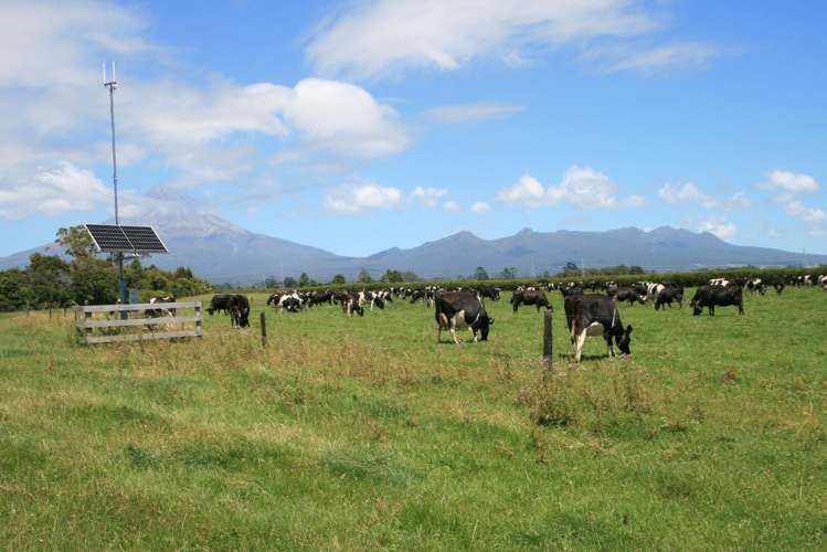 50 Bedford Road North Inglewood_29