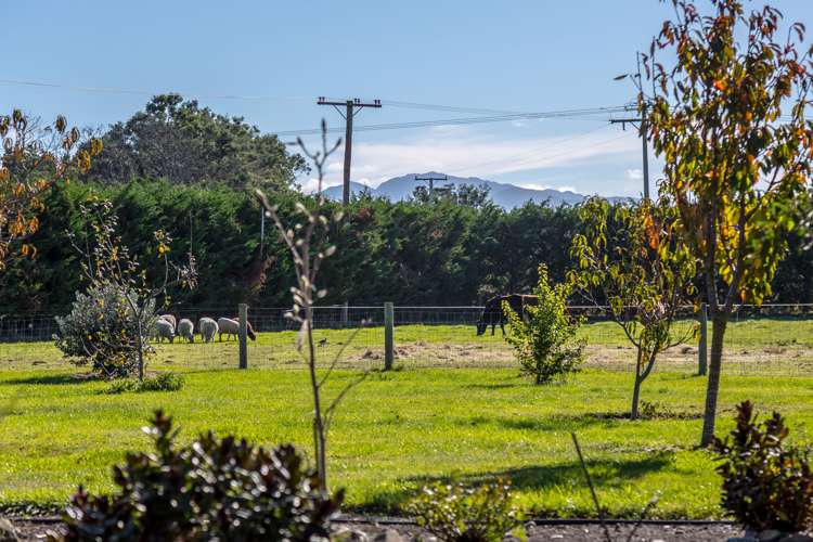 59 No 1 Line Tauwharenikau_14