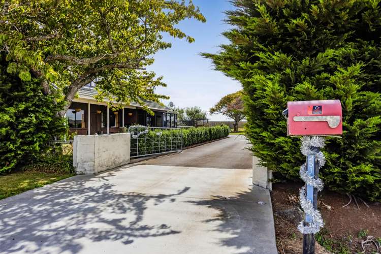 251 Tawhiti Road Hawera_29