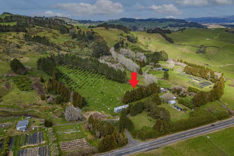 548b Waihi Whangamata Road_0