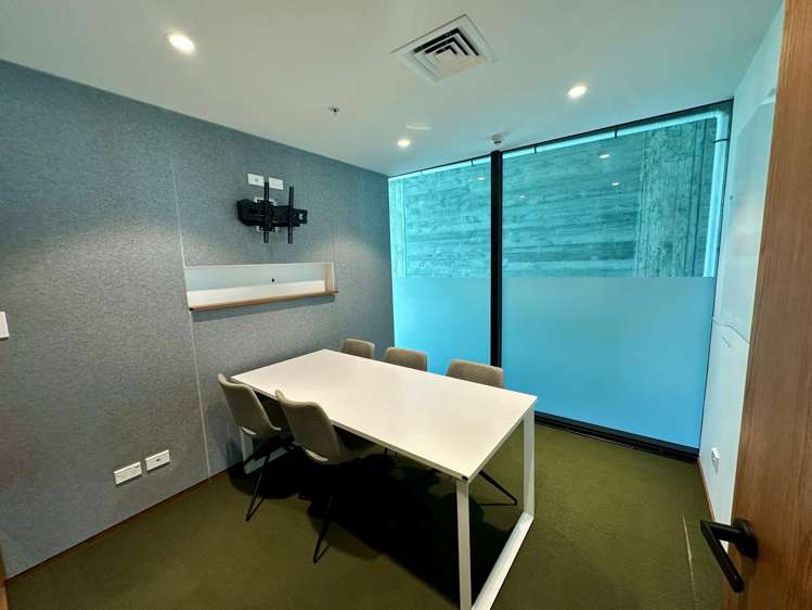 5 Crummer Road Grey Lynn_8