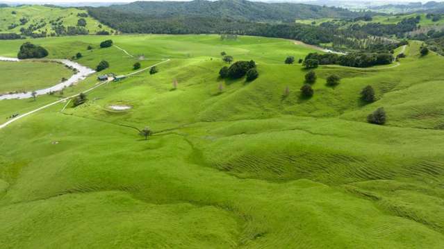 1906 Pukehuia Road Arapohue_3