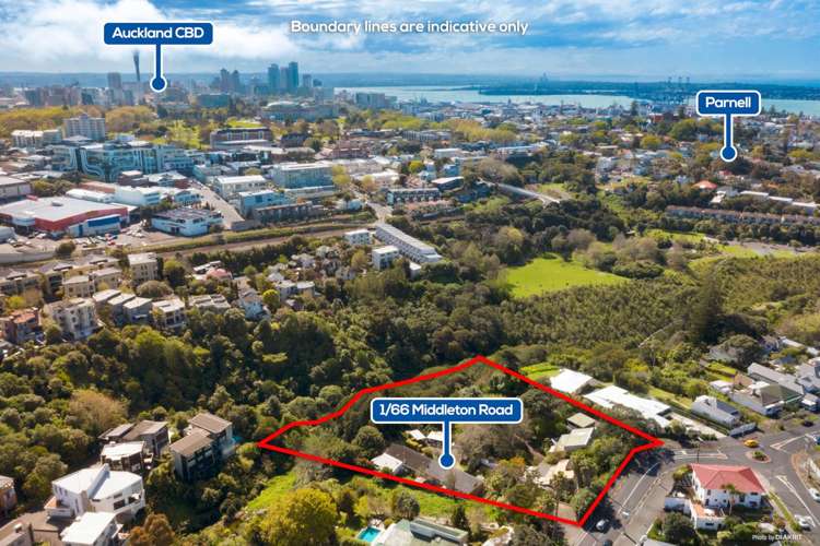 1/66 Middleton Road Remuera_19