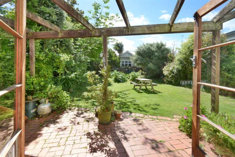 195 Forbury Road Saint Clair_18