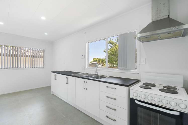 102 Finlayson Avenue Clendon Park_11