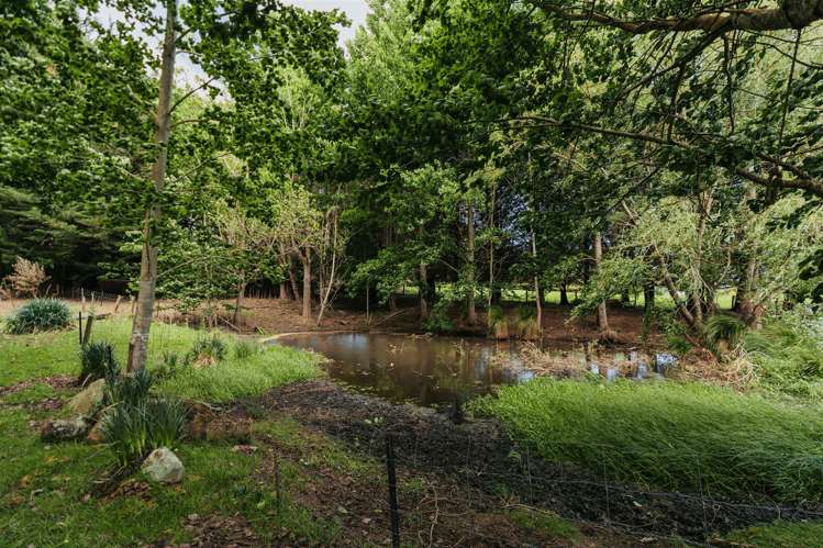 1 Fisher Road Kakapuaka_19