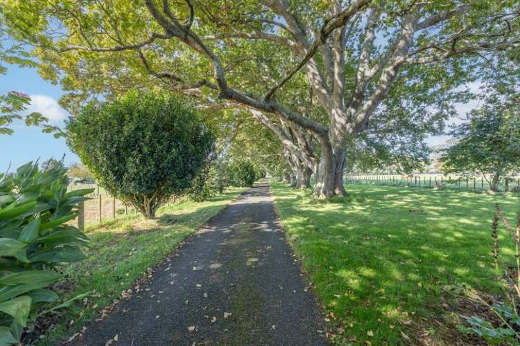 107 Horrell Road Morrinsville_7