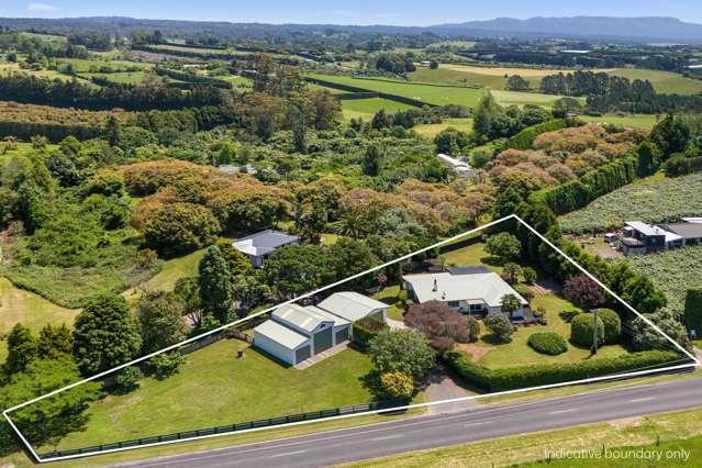 474 Youngson Road Whakamarama_1