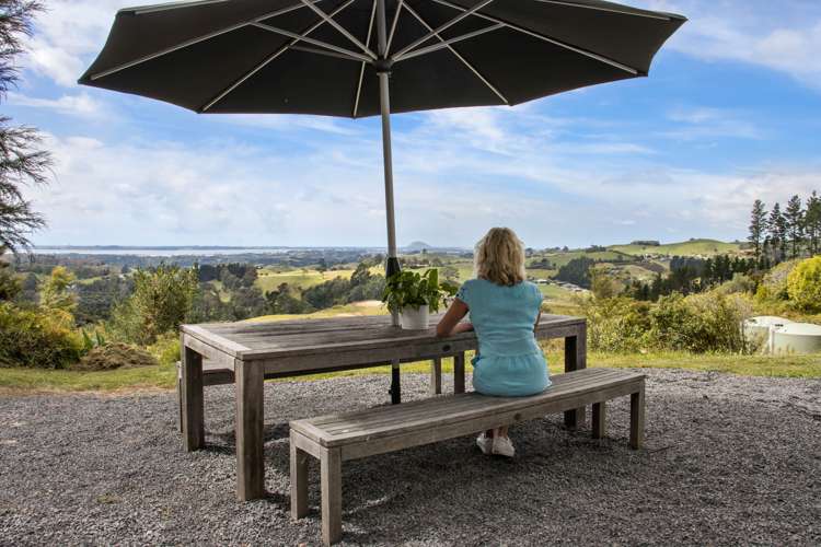 Upland Road Aongatete_6