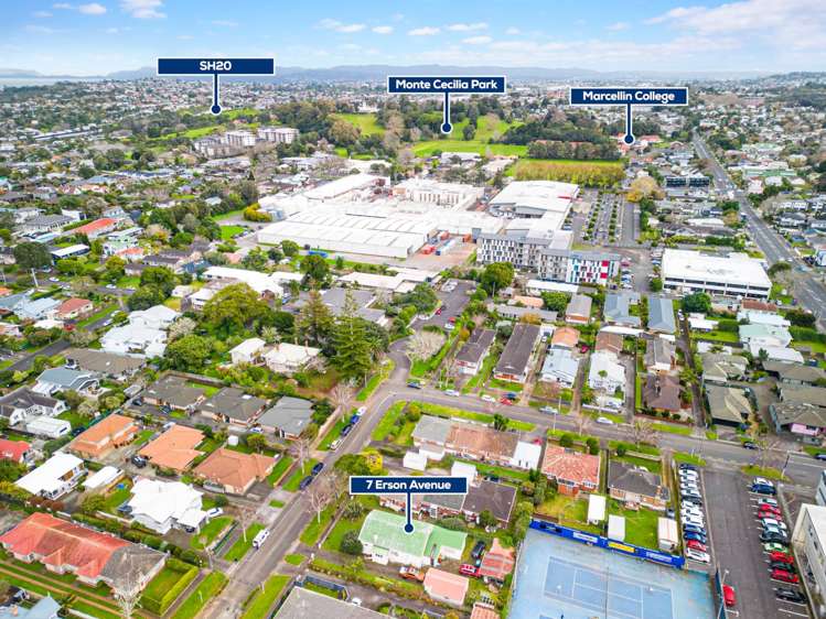 7 Erson Avenue Royal Oak_6