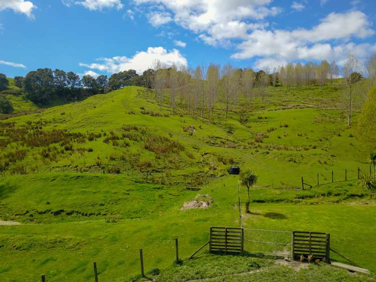 243 Ormond Valley Road Ormond_13