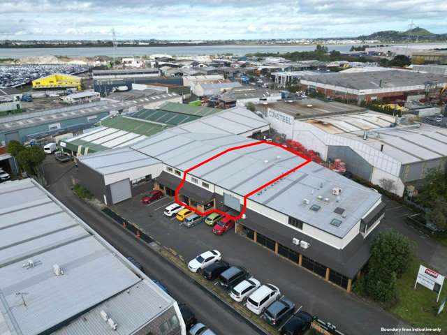 456M² INDUSTRIAL PREMISES