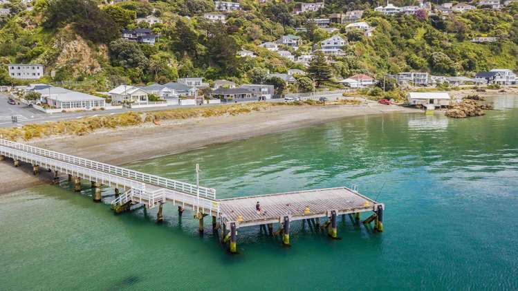 87 Marine Parade Seatoun_8