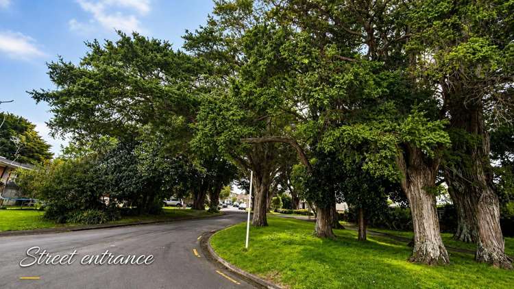 9B Totara Grove Hillcrest_14