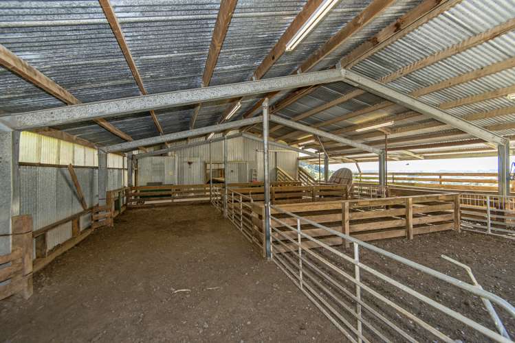 91 Avoca Valley Road Heathcote Valley_13