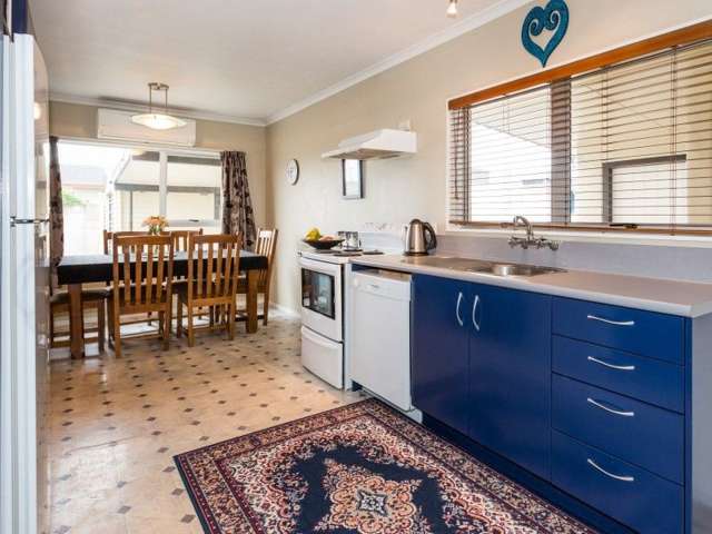 43 Ranfurly Street Tamatea_3