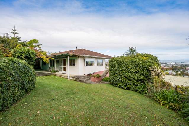 33 Maire Street Tahunanui_1