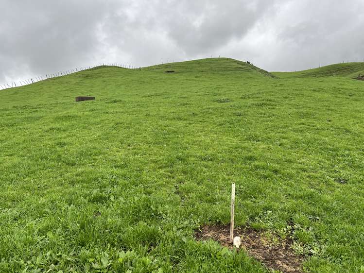 1/627 Waitomo Valley Road Otorohanga_6