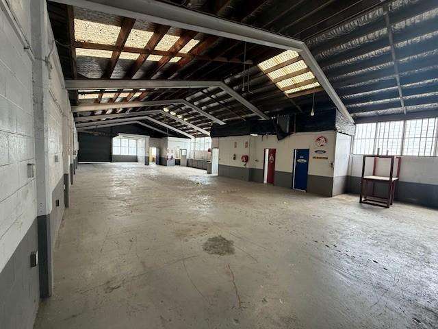 37 King Street Frankton_3