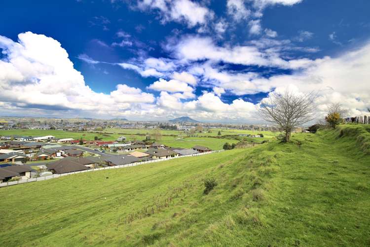 866 Bond Road Te Awamutu_20