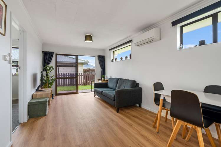 227E Oxford Street South Dunedin_8