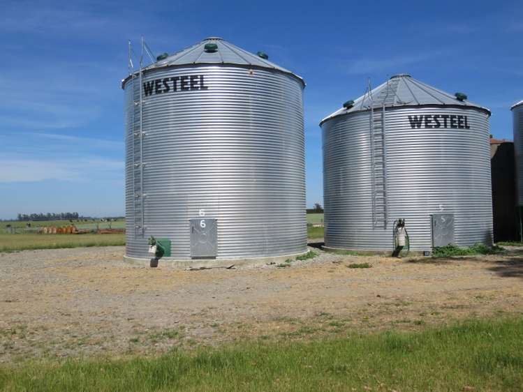 524 Rules Road Pendarves_6