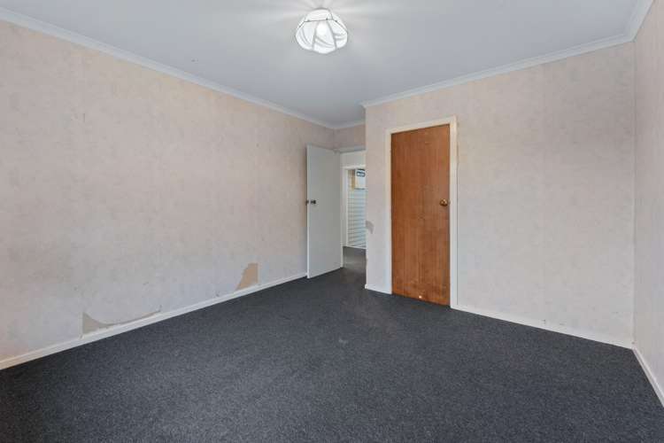 17 Puriri Street Miramar_15