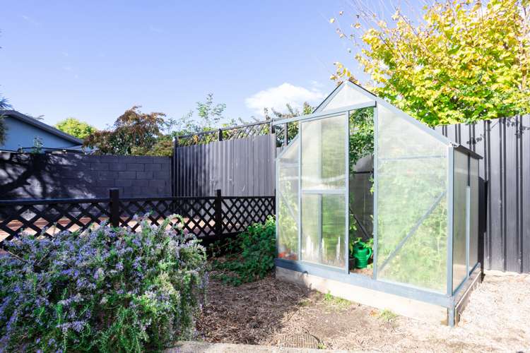 99 Gladstone Terrace Gladstone_19