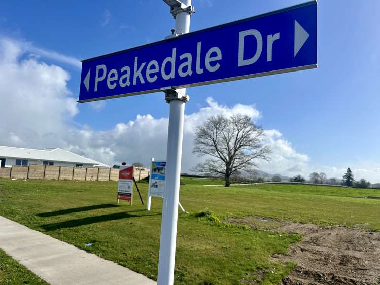 31 Peakedale Drive_0