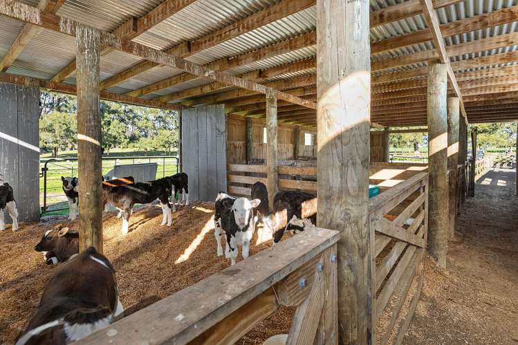 165 School Road Manawaru_17