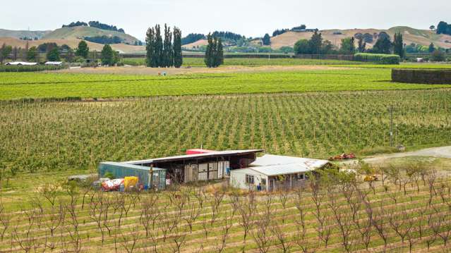 156 Moteo Pa Road Puketapu_1