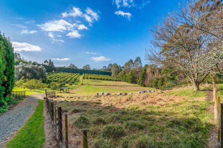 176H Snodgrass Road Te Puna_28