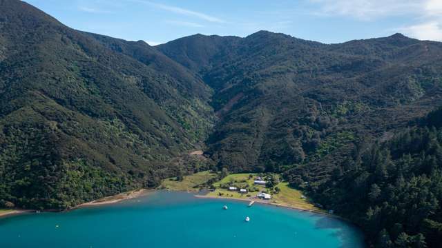 Catherine Cove Marlborough Sounds_2