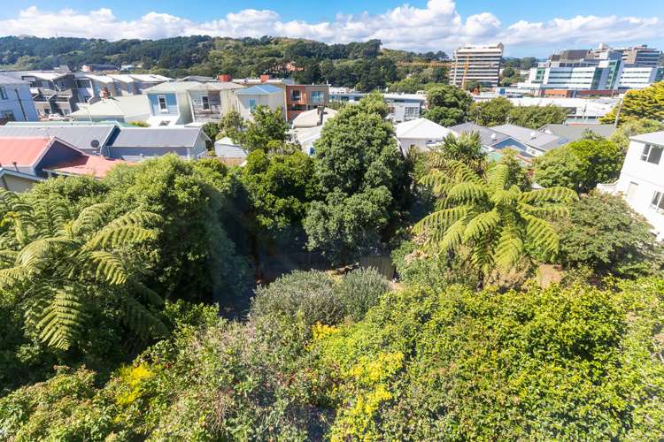 139 Wallace Street Mount Cook_13