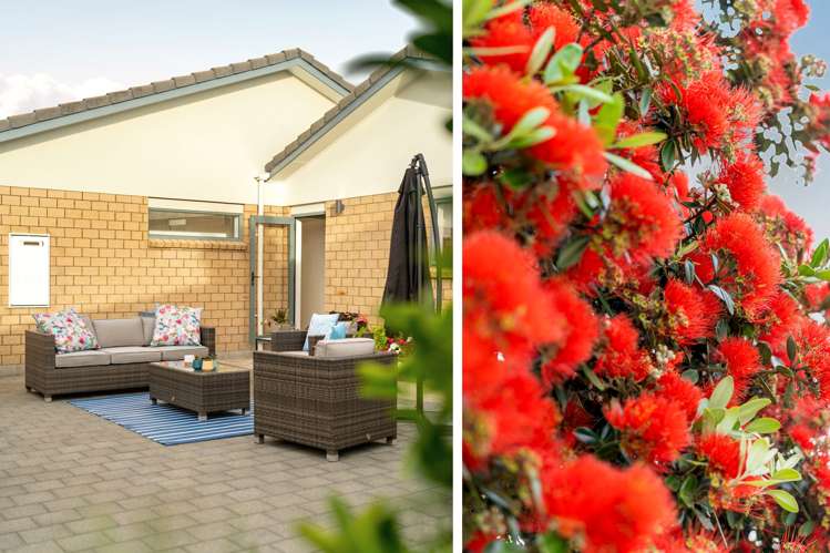 14 Katerini Grove Papamoa_19