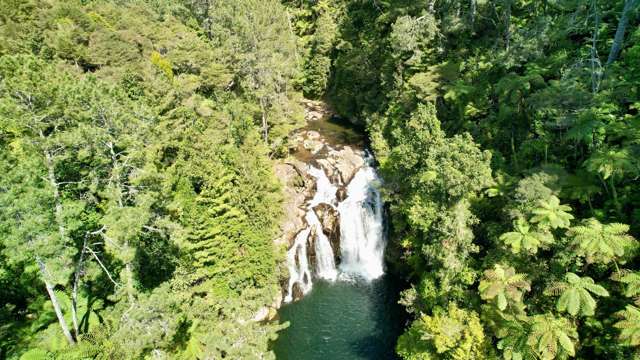 717 Wright Road Aongatete_4