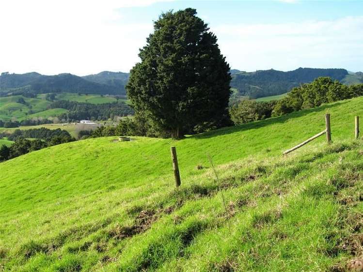 248 Swamp Road Mareretu_7