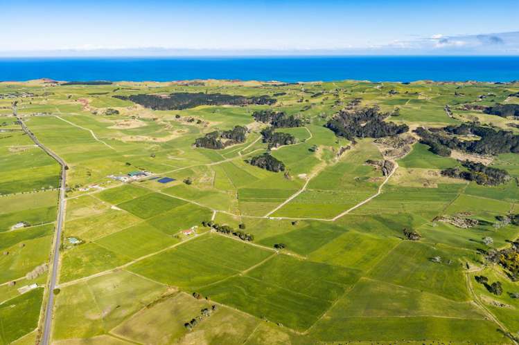 454 West Coast Road Te Kopuru_1