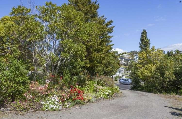 302 The Drive Whangamata_7